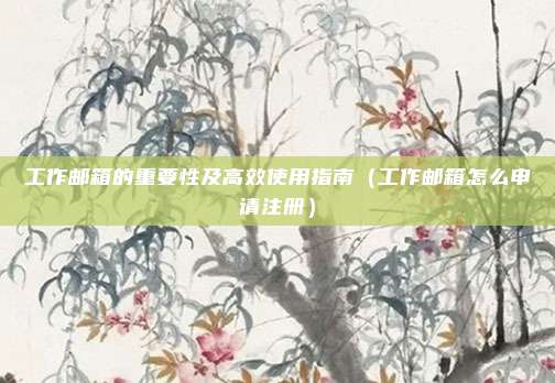 工作邮箱的重要性及高效使用指南（工作邮箱怎么申请注册）