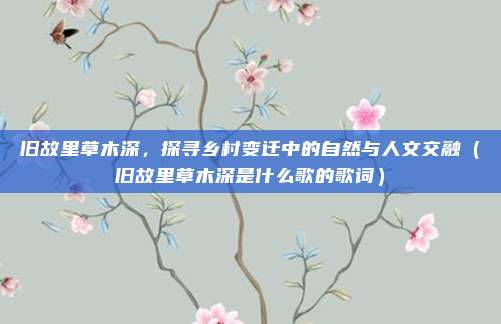 旧故里草木深，探寻乡村变迁中的自然与人文交融（旧故里草木深是什么歌的歌词）