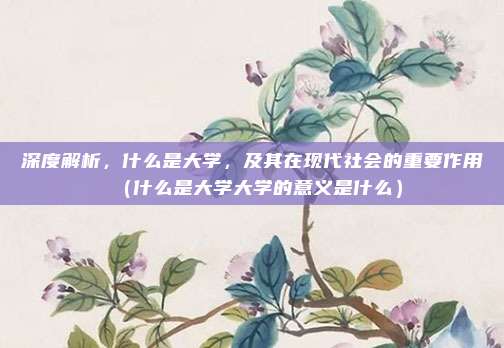 深度解析，什么是大学，及其在现代社会的重要作用（什么是大学大学的意义是什么）