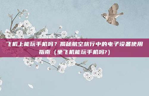 飞机上能玩手机吗？揭秘航空旅行中的电子设备使用指南（坐飞机能玩手机吗?）