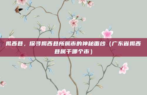 揭西县，探寻揭西县所属市的神秘面纱（广东省揭西县属于哪个市）
