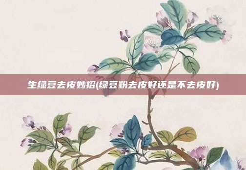 生绿豆去皮妙招(绿豆粉去皮好还是不去皮好)