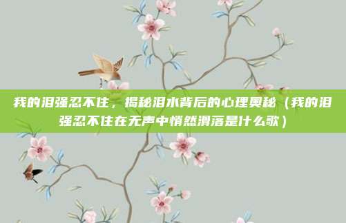 我的泪强忍不住，揭秘泪水背后的心理奥秘（我的泪强忍不住在无声中悄然滑落是什么歌）