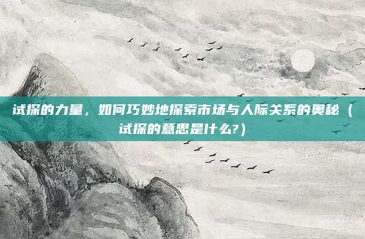试探的力量,如何巧妙地探索市场与人际关系的奥秘(试探的意思是什么?)