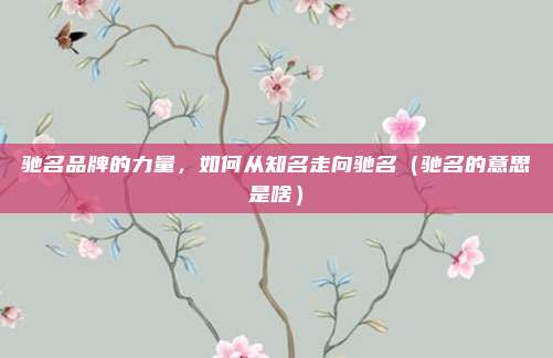 驰名品牌的力量，如何从知名走向驰名（驰名的意思是啥）