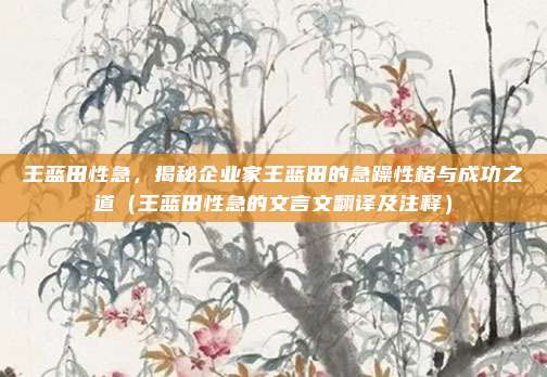 王蓝田性急，揭秘企业家王蓝田的急躁性格与成功之道（王蓝田性急的文言文翻译及注释）