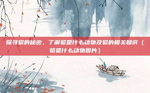 探寻貂的秘密,了解貂是什么动物及貂的相关知识(貂是什么动物图片)