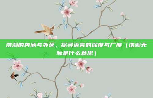 浩瀚的内涵与外延,探寻语言的深度与广度(浩瀚无际是什么意思)