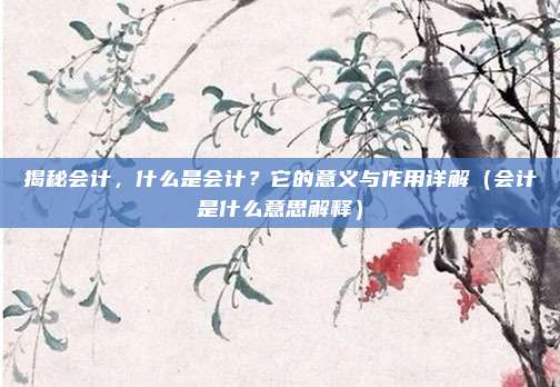 揭秘会计，什么是会计？它的意义与作用详解（会计是什么意思解释）