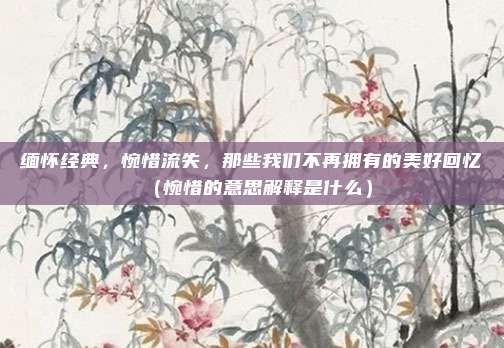 缅怀经典，惋惜流失，那些我们不再拥有的美好回忆（惋惜的意思解释是什么）
