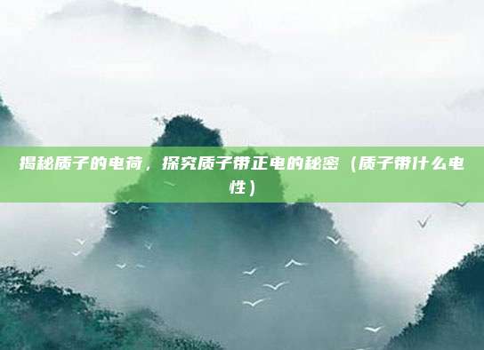 揭秘质子的电荷，探究质子带正电的秘密（质子带什么电性）
