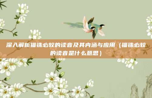 深入解析锱铢必较的读音及其内涵与应用（锱铢必较的读音是什么意思）