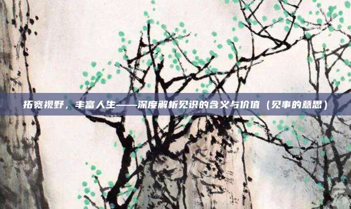 拓宽视野，丰富人生——深度解析见识的含义与价值（见事的意思）
