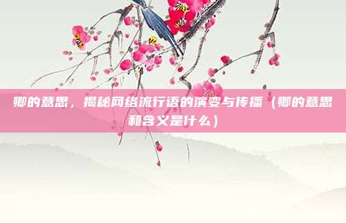 卿的意思，揭秘网络流行语的演变与传播（卿的意思和含义是什么）
