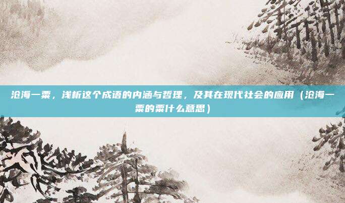 沧海一粟，浅析这个成语的内涵与哲理，及其在现代社会的应用（沧海一粟的粟什么意思）