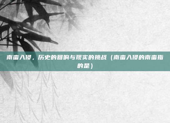 南蛮入侵，历史的回响与现实的挑战（南蛮入侵的南蛮指的是）