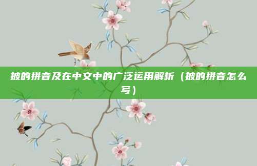 披的拼音及在中文中的广泛运用解析（披的拼音怎么写）