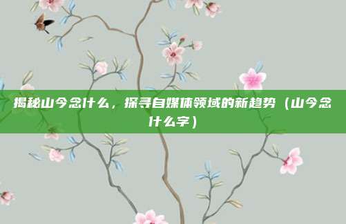 揭秘山今念什么，探寻自媒体领域的新趋势（山今念什么字）