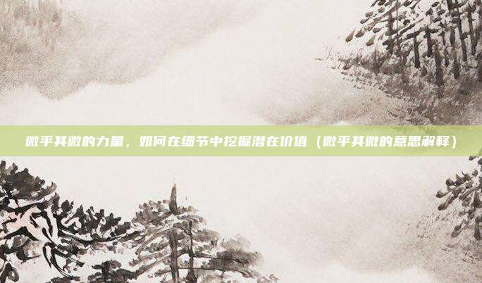 微乎其微的力量，如何在细节中挖掘潜在价值（微乎其微的意思解释）