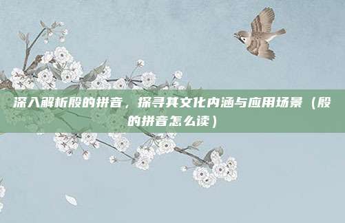 深入解析殷的拼音，探寻其文化内涵与应用场景（殷的拼音怎么读）