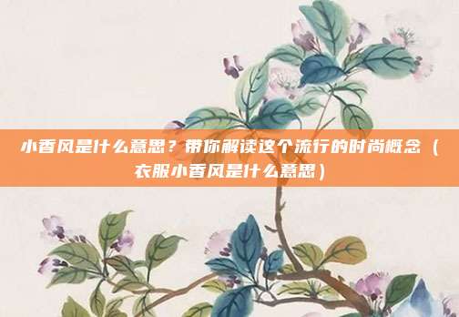 小香风是什么意思？带你解读这个流行的时尚概念（衣服小香风是什么意思）