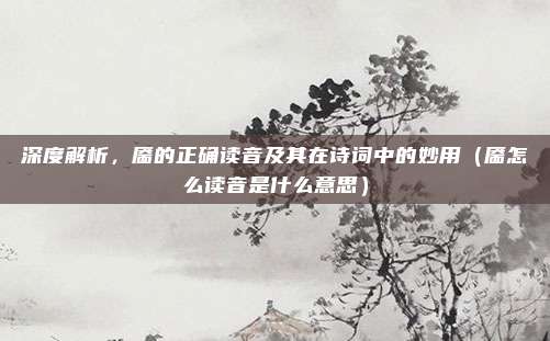 深度解析，靥的正确读音及其在诗词中的妙用（靥怎么读音是什么意思）