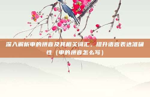 深入解析申的拼音及其相关词汇，提升语言表达准确性（申的拼音怎么写）
