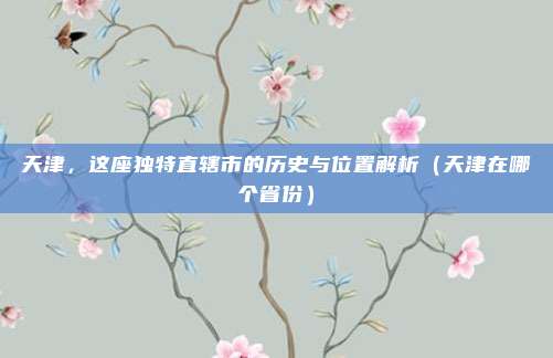 天津，这座独特直辖市的历史与位置解析（天津在哪个省份）