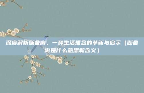 深度解析断舍离，一种生活理念的革新与启示（断舍离是什么意思和含义）