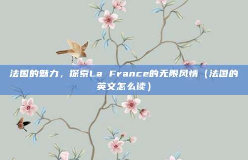 法国的魅力，探索La France的无限风情（法国的英文怎么读）