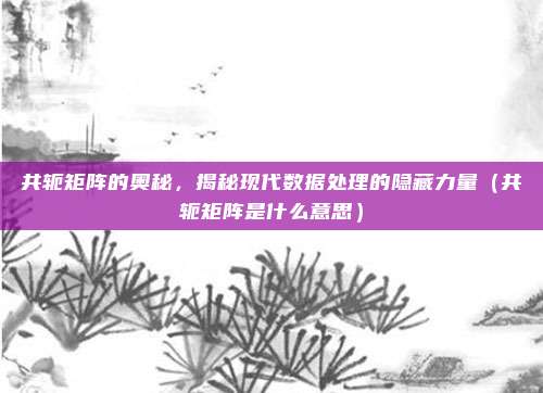 共轭矩阵的奥秘，揭秘现代数据处理的隐藏力量（共轭矩阵是什么意思）