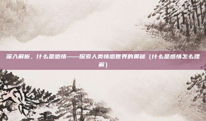 深入解析，什么是感情——探索人类情感世界的奥秘（什么是感情怎么理解）