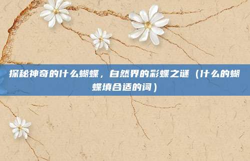 探秘神奇的什么蝴蝶，自然界的彩蝶之谜（什么的蝴蝶填合适的词）