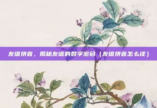 友谊拼音，揭秘友谊的数字密码（友谊拼音怎么读）