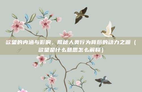 欲望的内涵与影响，揭秘人类行为背后的动力之源（欲望是什么意思怎么解释）