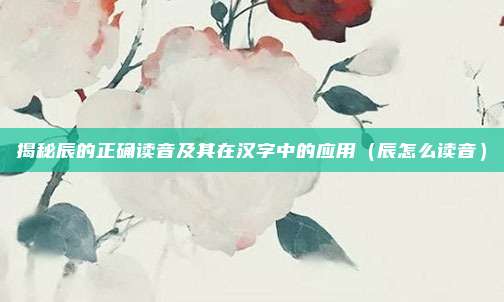 揭秘辰的正确读音及其在汉字中的应用（辰怎么读音）