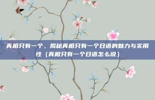 真相只有一个，揭秘真相只有一个日语的魅力与实用性（真相只有一个日语怎么说）