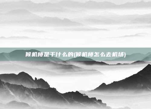 候机楼是干什么的(候机楼怎么去机场)