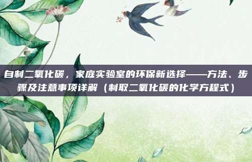 自制二氧化碳，家庭实验室的环保新选择——方法、步骤及注意事项详解（制取二氧化碳的化学方程式）