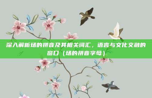 深入解析场的拼音及其相关词汇，语言与文化交融的窗口（场的拼音字母）