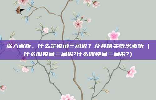 深入解析，什么是锐角三角形？及其相关概念解析（什么叫锐角三角形?什么叫钝角三角形?）