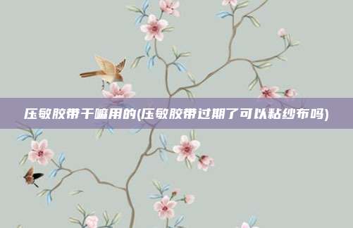 压敏胶带干嘛用的(压敏胶带过期了可以粘纱布吗)