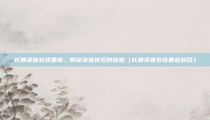 长期负债包括哪些，揭秘负债背后的秘密（长期负债包括哪些科目）