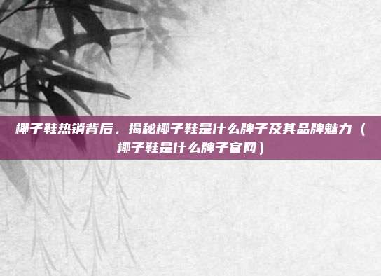 椰子鞋热销背后，揭秘椰子鞋是什么牌子及其品牌魅力（椰子鞋是什么牌子官网）