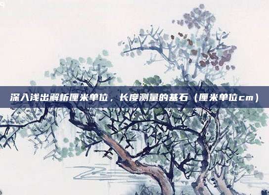 深入浅出解析厘米单位，长度测量的基石（厘米单位cm）