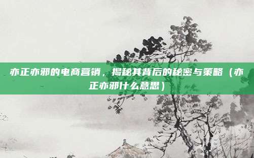 亦正亦邪的电商营销，揭秘其背后的秘密与策略（亦正亦邪什么意思）