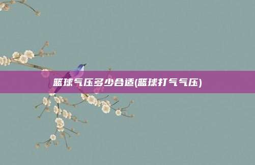 篮球气压多少合适(篮球打气气压)