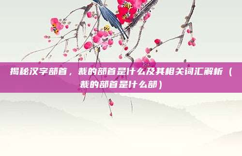 揭秘汉字部首，裁的部首是什么及其相关词汇解析（裁的部首是什么部）