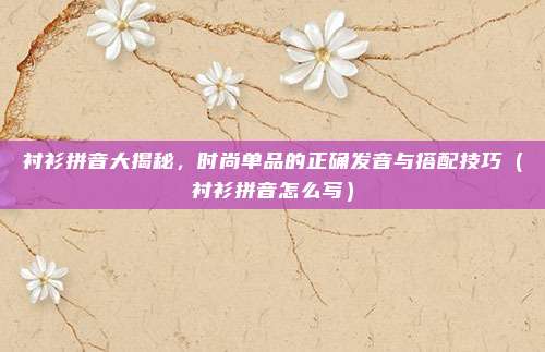 衬衫拼音大揭秘，时尚单品的正确发音与搭配技巧（衬衫拼音怎么写）