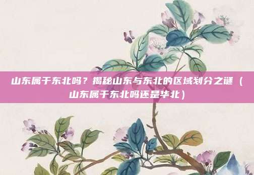 山东属于东北吗？揭秘山东与东北的区域划分之谜（山东属于东北吗还是华北）